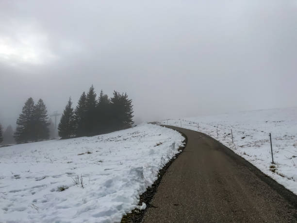 눈 속에서 검은 숲의 산에 경로. - cross country skiing black forest germany winter 뉴�스 사진 이미지