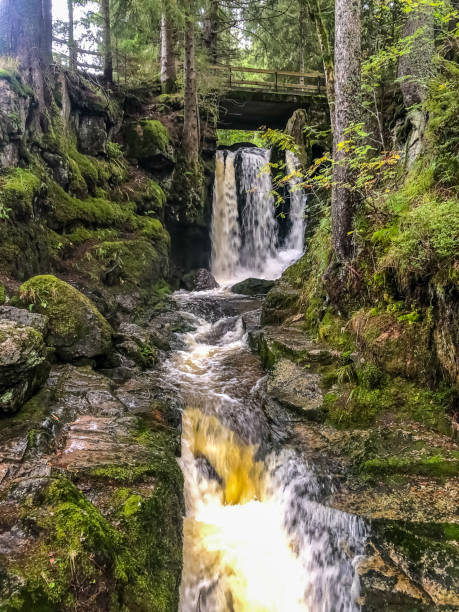 istock The waterfalls in the Black Forest. 1346774382
