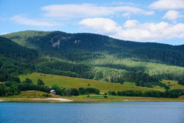 Beautiful view from Dospat reservoir in Bulgaria