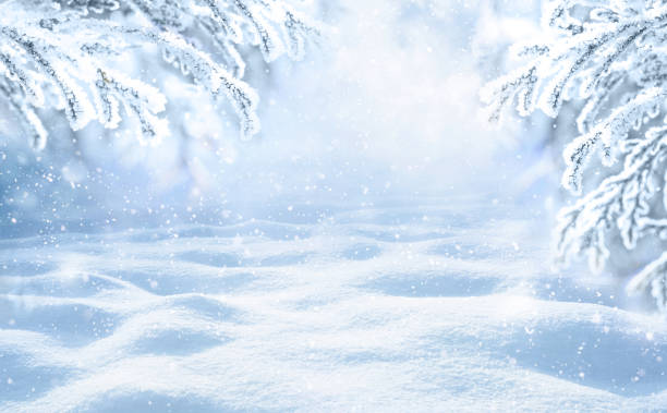 istock Snow landscape with spruce branches covered with snow, snowdrifts and falling snow. 1346778589