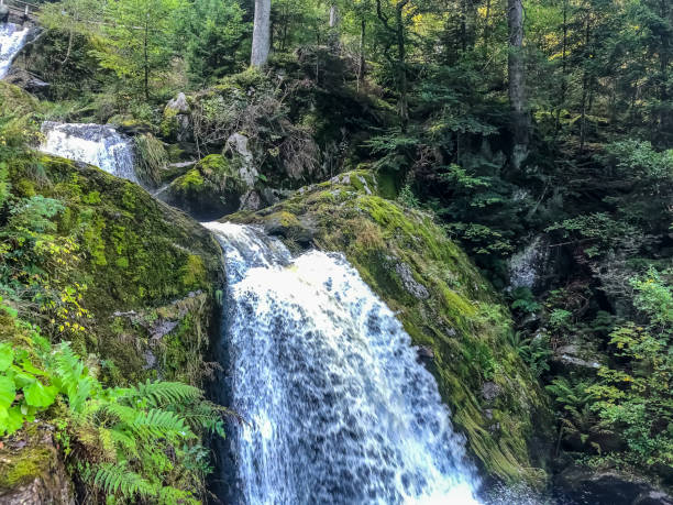 istock The waterfalls in the Black Forest. 1346780835