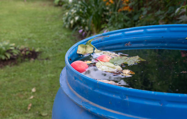 istock fallen apples in a water barrel in the garden 1346781919