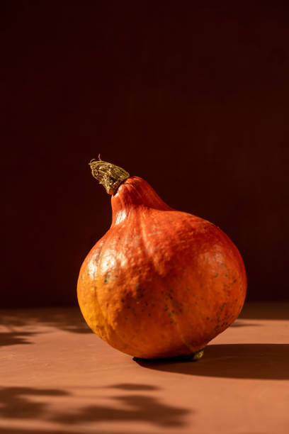 concepto otoñal con una calabaza sobre fondo oscuro con hojas otoñales. celebrando halloween y acción de gracias - five objects audio fotografías e imágenes de stock