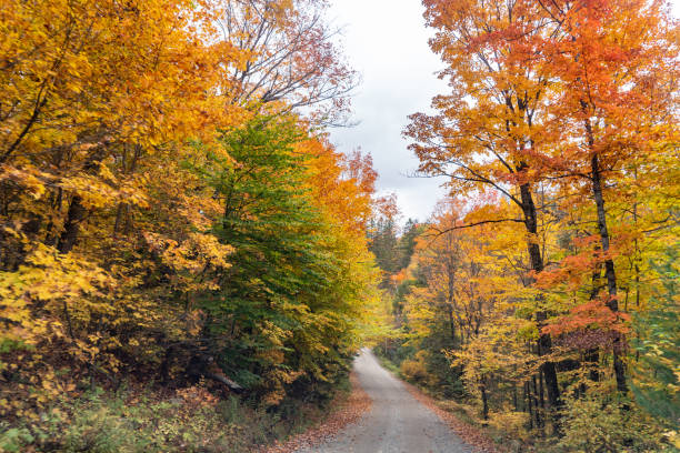 istock Fall colors at Pathfinder Island and Source Lake, Algonquin Provincial Park, Canada 1346783268