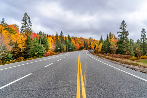 istock Fall colors Algonquin Provincial Park, Ontario, Canada 1346783768