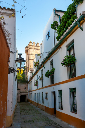 The Barrio de Santa Cruz is the primary tourist neighbourhood of Seville, Spain, and the former Jewish quarter of the medieval city.