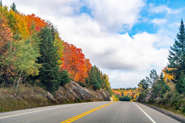 istock Fall colors Algonquin Provincial Park, Ontario, Canada 1346784776
