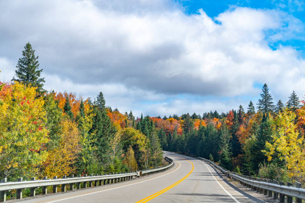 istock Fall colors Algonquin Provincial Park, Ontario, Canada 1346784819