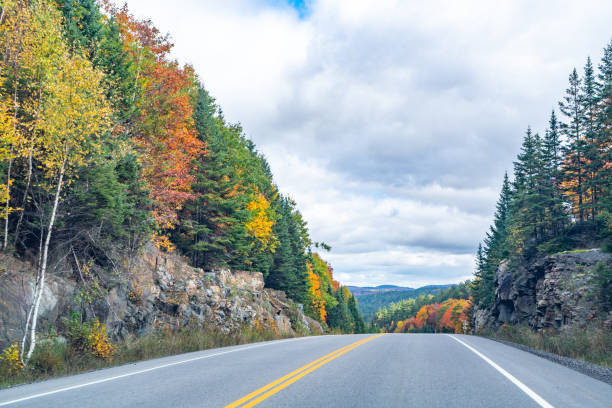 istock Fall colors Algonquin Provincial Park, Ontario, Canada 1346784875
