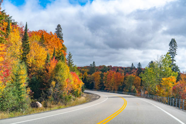 istock Fall colors Algonquin Provincial Park, Ontario, Canada 1346784913