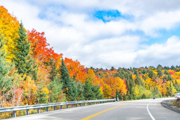 istock Fall colors Algonquin Provincial Park, Ontario, Canada 1346784955