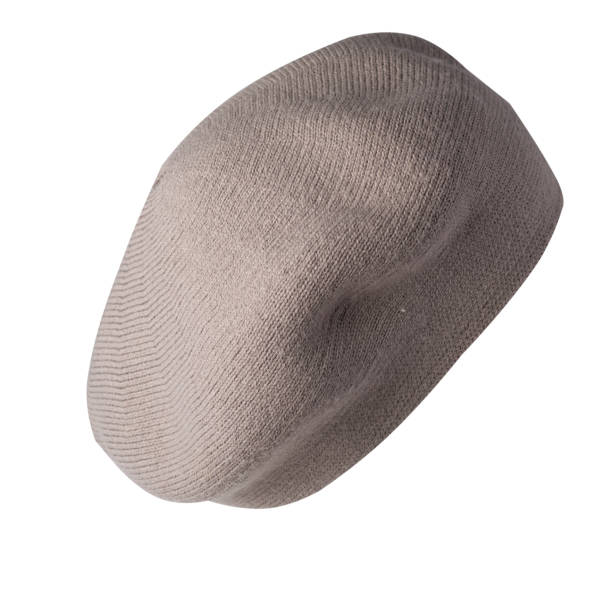 istock female  beret isolated on white background. autumn accessory 1346787519