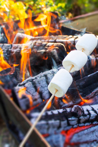 istock marshmallow on a stick being roasted over a camping fire. 1346788437