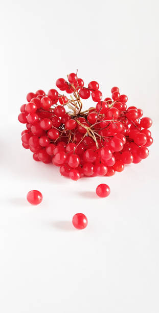 VViburnum berries on a white background. Isolate. Vertical high quality photo