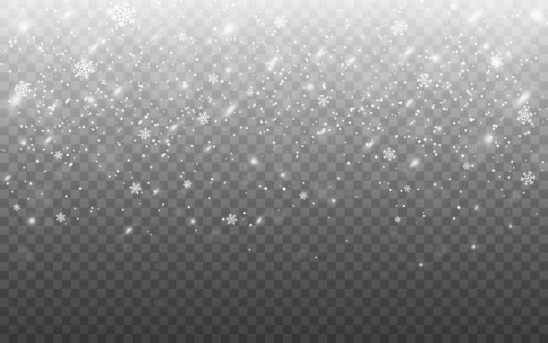 クリスマスの降雪。現実的な落下フレーク。透明な背景に焦点を当て解除された雪片。ポスターやバナーのための吹雪と冬のテクスチャ。ベクトルの図 - 透明点のイラスト素材／クリップアート素材／マンガ素材／アイコン素材