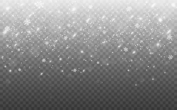 Vector illustration of Christmas snowfall. Realistic falling flakes. Defocused snowflakes on transparent backdrop. Winter texture with snowstorm for poster or banner. Vector illustration