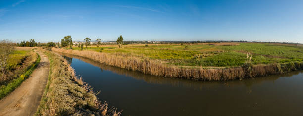 istock Autumn view in Bioria 1346792409