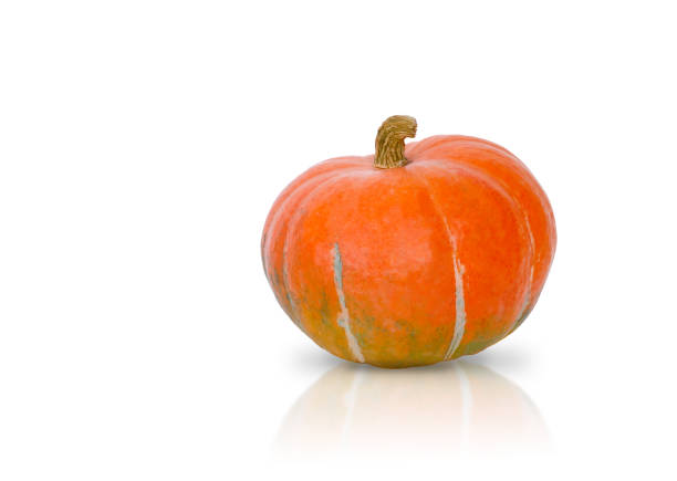 istock A real pumpkin isolated on a white background 1346796618