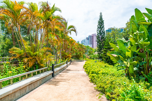 Path in public park in Hong Kong city