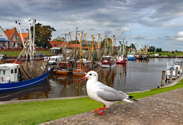 Greetsiel, Germany - September 04, 2020: The fishing port of Greetsiel. Greetsiel is one of the most beautiful fishing villages on the German North Sea.