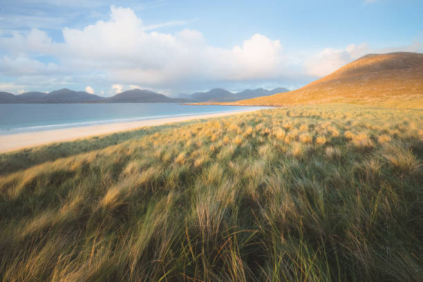 istock Luskentyre Beach, Scotland 1346800628