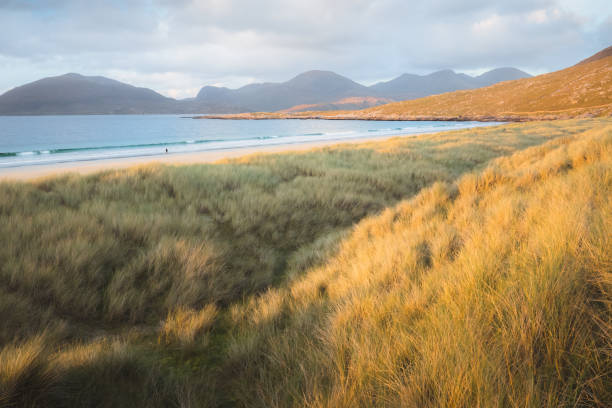 istock Luskentyre Beach, Scotland 1346800677