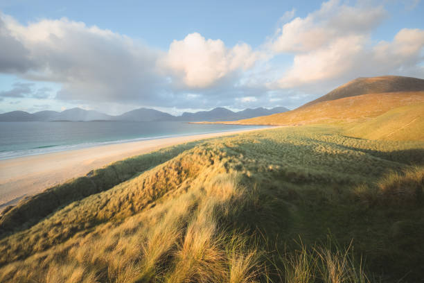 istock Luskentyre Beach, Scotland 1346800699