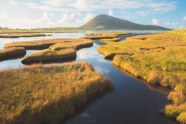 northton salt marsh, scozia - land sale foto e immagini stock