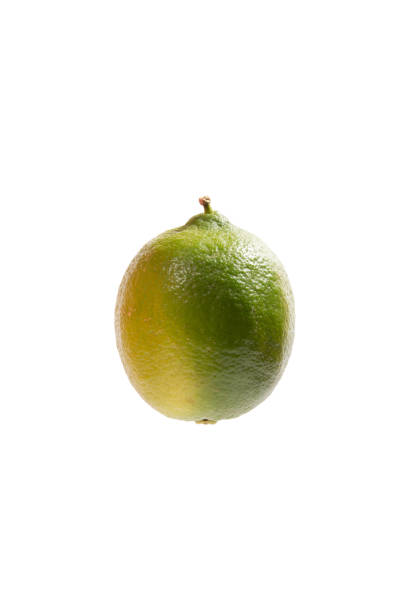 istock Green lemon isolated on white background. Fresh lime isolated on white 1346801937