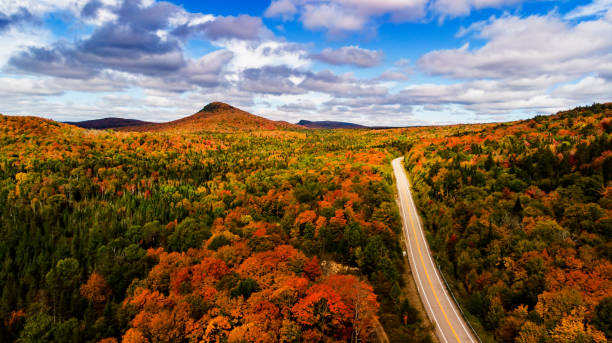 canadian autumn in quebec - forest autumn aerial view leaf imagens e fotografias de stock