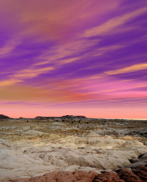 istock Petrified Forest Arizona 1346811060