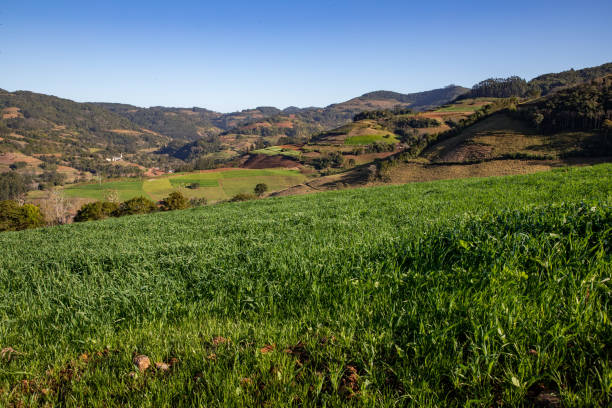 istock Farm plantation with forest and mountain around 1346811982