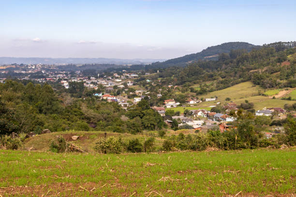 istock Farm field with forest and village 1346812885