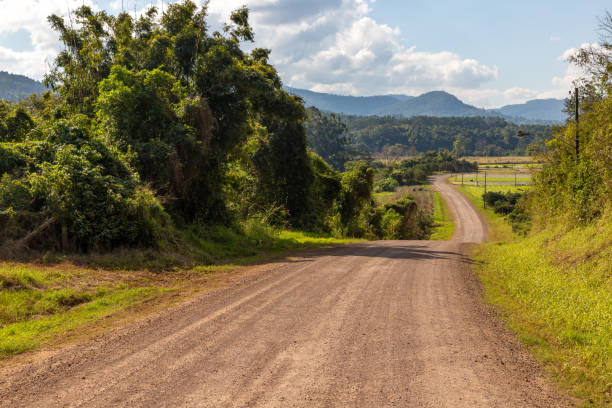 istock Dirty road, forest and farm plantation 1346812891