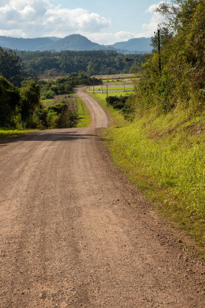 istock Dirty road, forest and farm plantation 1346812903