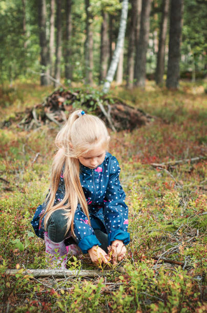 istock Little girl in an autumn forest 1346820799