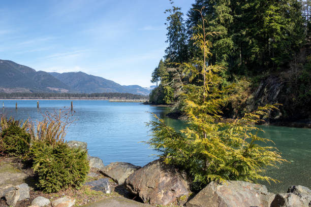 istock ocean and mountain view on the Pacific coast of Canada 1346824907