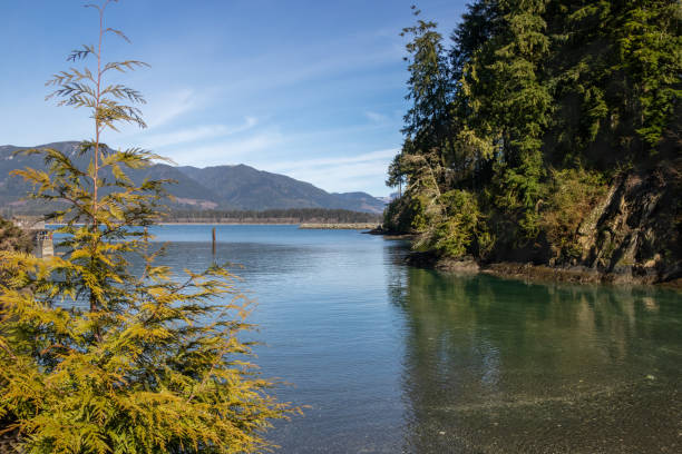 istock clear water, mountains and blue sky at Port Renfrew 1346824933