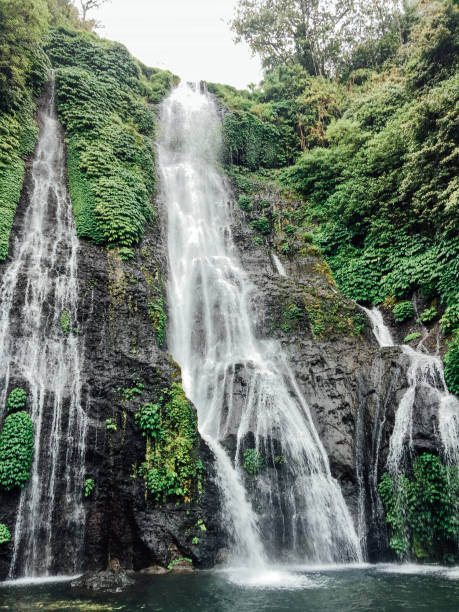 istock Banyumala waterfall in North Bali island, Indonesia. Jungle waterfall 1346825760
