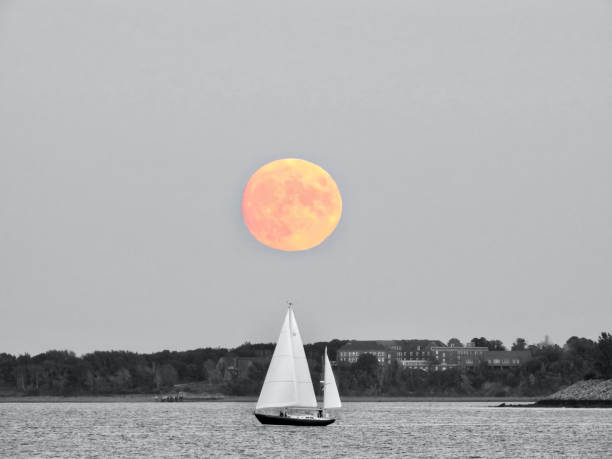 Moonlit Sail stock photo