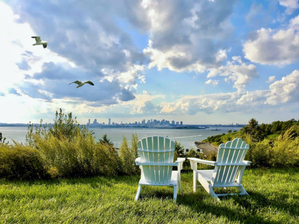 gaviotas de la isla spectacle - boston harbor fotografías e imágenes de stock