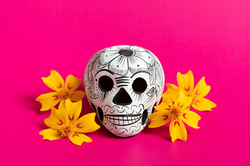 Skull, skull and flowers of Dia de Muertos on Mexican pink background