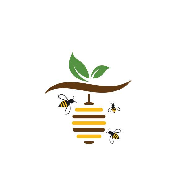 bee hive vector icon illustration bee hive vector icon illustration design beehive stock illustrations