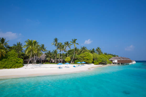 istock White sandy beach resort on the island 1346836393