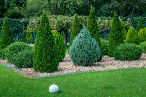 istock Beautiful landscaping at park with trees 1346836529