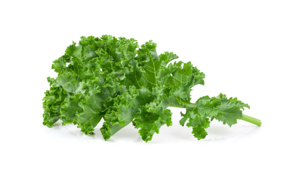istock Kale leaf salad vegetable isolated on white background 1346837131