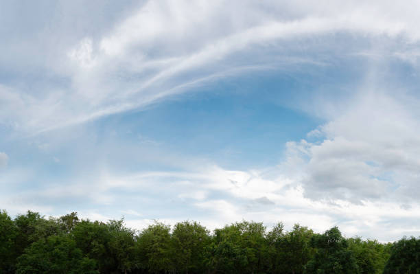 Summer blue sky cloud gradient fade white background. Beauty clear cloudy in sunshine calm bright winter air bacground. Wide vivid cyan landscape in environment day Outdoor horizon skyline spring wind