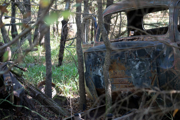 istock Old truck frame in the woods 1346844757