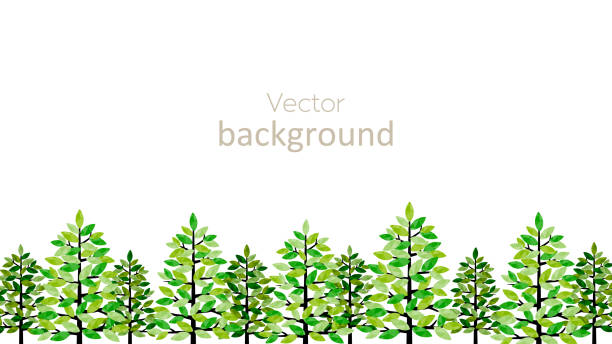 Forest illustration background material (white background, vector) Forest illustration background material (white background, vector) northern europe stock illustrations