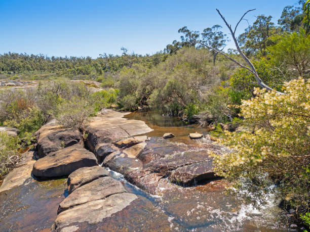 istock Hovea Falls in John Forrest National Park 1346845659